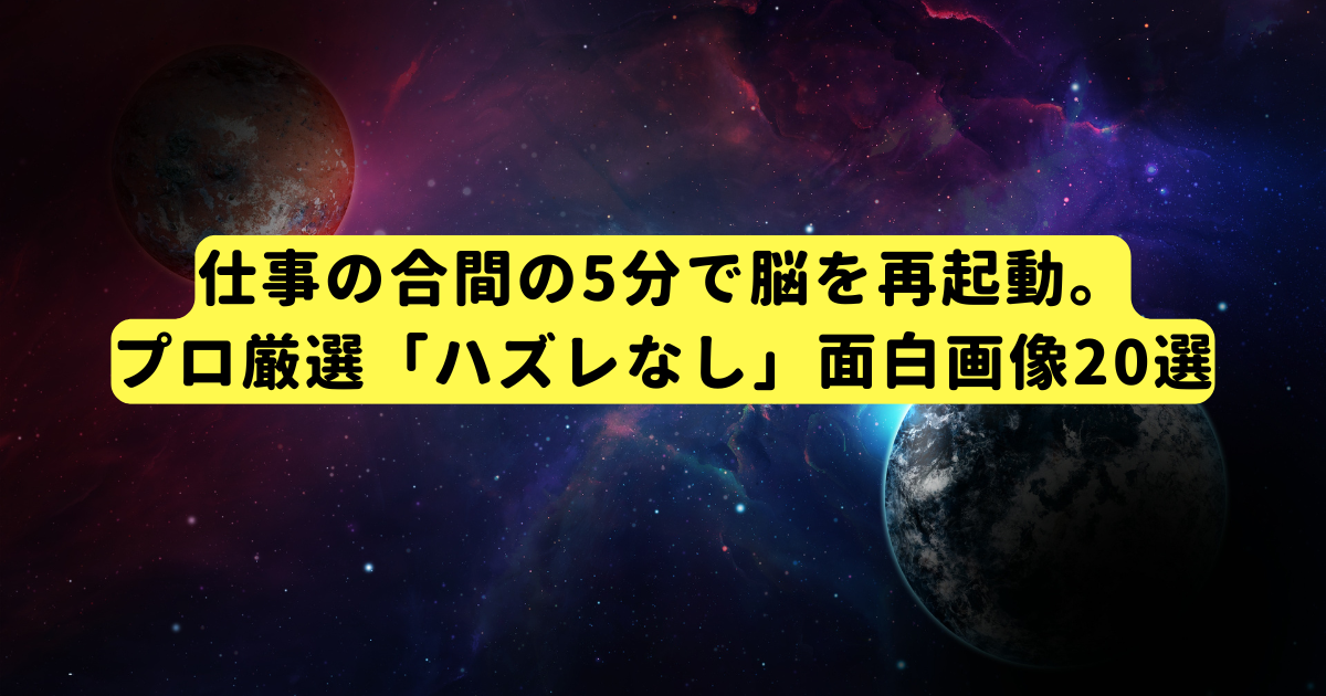 仕事の合間の5分で脳を再起動。プロ厳選「ハズレなし」面白画像20選