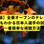 【2025年版】全豪オープンのテレビ放送は？初心者でもわかる日本人選手の試合日程と一番簡単な視聴方法