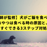 【獣医師が監修】犬がご飯を食べない！おやつは食べる時の原因と、今すぐできる3ステップ対処法