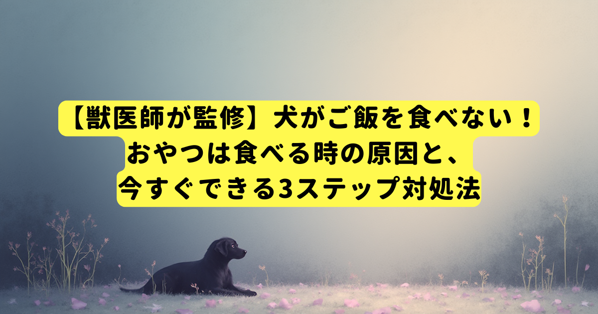 【獣医師が監修】犬がご飯を食べない！おやつは食べる時の原因と、今すぐできる3ステップ対処法