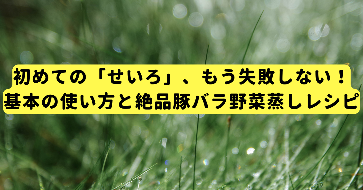 初めての「せいろ」、もう失敗しない！基本の使い方と絶品豚バラ野菜蒸しレシピ