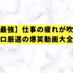 【タイパ最強】仕事の疲れが吹っ飛ぶ！プロ厳選の爆笑動画大全集