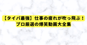 【タイパ最強】仕事の疲れが吹っ飛ぶ!プロ厳選の爆笑動画大全集