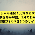 猫のくしゃみ連発！元気なら大丈夫？【獣医師が解説】1分でわかる病院に行くべき5つのサイン