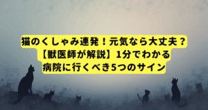 猫のくしゃみ連発!元気なら大丈夫?【獣医師が解説】1分でわかる病院に行くべき5つのサイン
