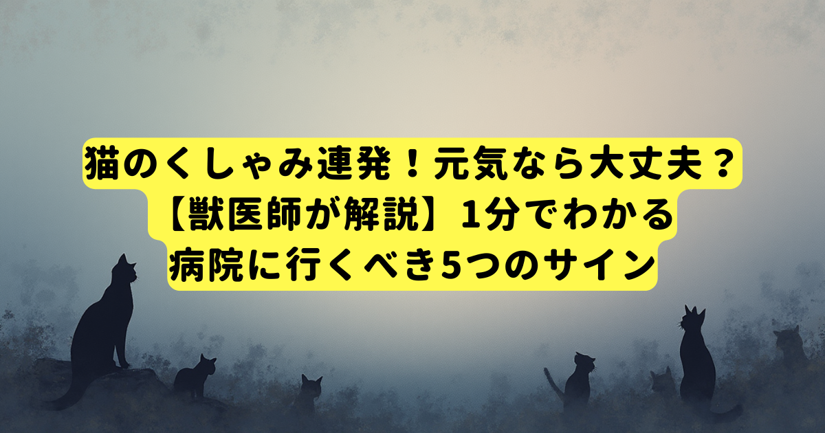 猫のくしゃみ連発!元気なら大丈夫?【獣医師が解説】1分でわかる病院に行くべき5つのサイン
