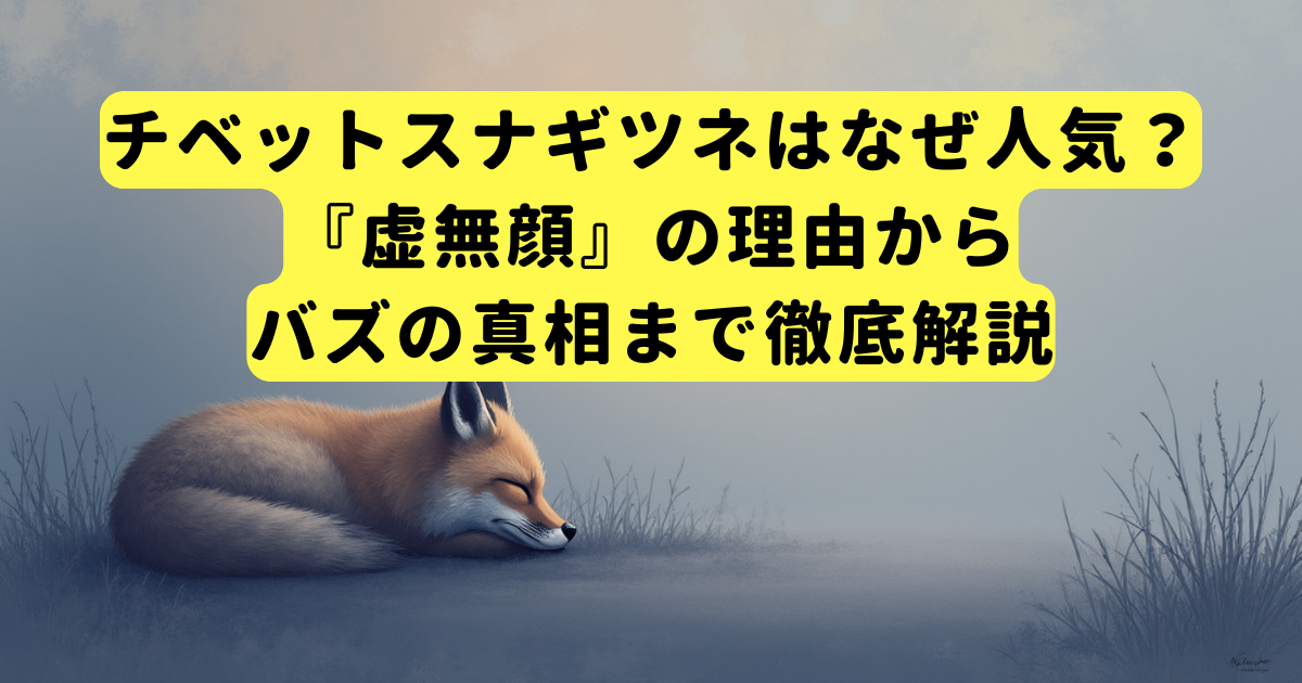 チベットスナギツネはなぜ人気?『虚無顔』の理由からバズの真相まで徹底解説